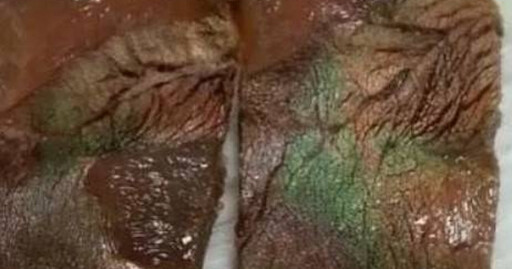 豬肉冒「神秘綠光」沒壞掉 物理老師揭原因:證明是好肉
