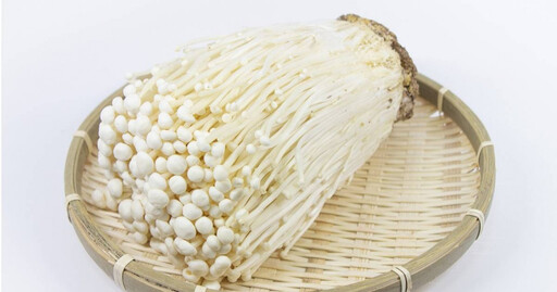 大腸鏡拍到「整朵菇類」 醫笑:吃東西要咬啦