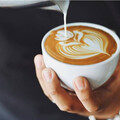 這飲品可抗老？哈佛30年研究認證了 女性每天3杯有助健康老化