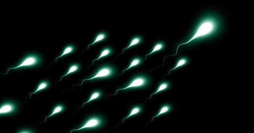 蝌蚪數量變少游不動?醫示警「5類食品」少吃 這種害精子少2800萬
