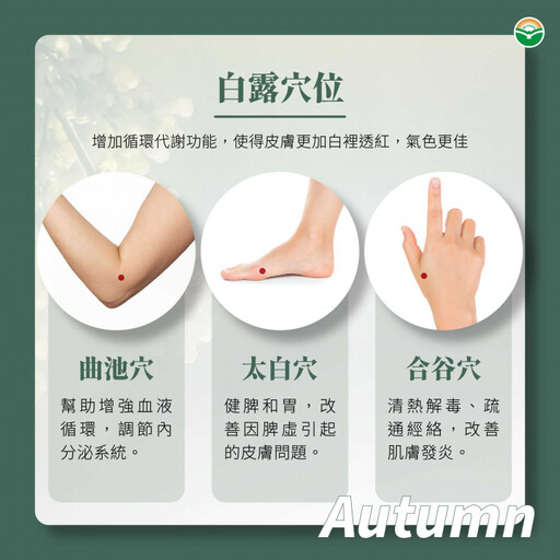 白露將至!中醫示警皮膚易乾癢或曬黑 宜製2茶飲、按3穴位助改善