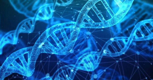 生殖醫學大突破！科學家首度以皮膚細胞製造人類早期胚胎 有望成不孕福音