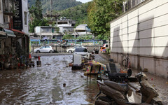 類鼻疽今年已70例「11人喪命」 醫示警：颱風、暴雨會將細菌沖刷出來