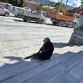 為什麼是我活下來？ 花蓮災民恐面臨4大身心考驗