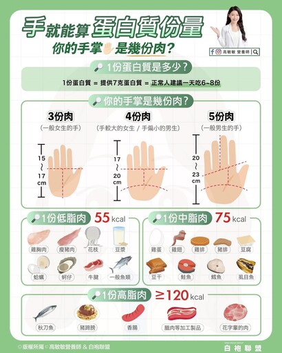 手掌一比就知道！專家曝「蛋白質攝取量」計算法 熱量三區域這樣吃