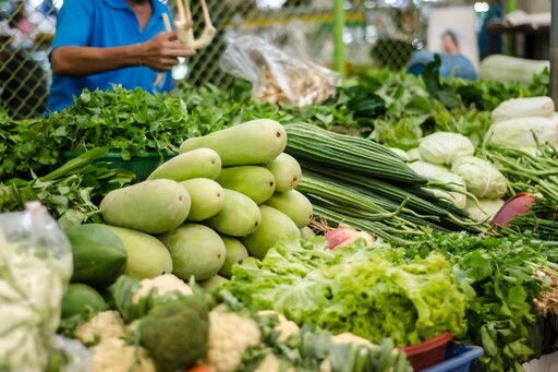 最新「台灣10種最乾淨蔬菜」出爐！其中7種0農藥殘留 A菜、美生菜、竹筍上榜