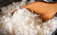 米變黃了還能吃嗎？專家揭「1顏色」千萬別煮了 不少人都有的4個盲點曝