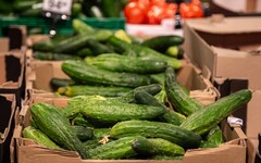 小黃瓜有刺比較新鮮？生吃還是汆燙再吃好？農糧署解答 與其他蔬果一起生吃恐害營養流失