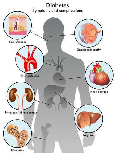 胃怕撐、肺怕煙......身體8大器官最怕什麼？營養師1圖示警 保養必吃食材曝