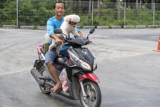 騎機車載寵物「未做1事」至少罰3千！ 專家教你如何做好安全措施