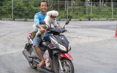 騎機車載寵物「未做1事」至少罰3千！ 專家教你如何做好安全措施