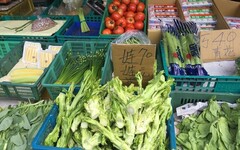 凱米颱風增強長胖逼近！營養師推「不漲價2蔬菜」今天先買起來 解便秘還有助減肥