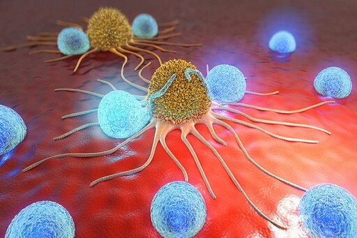 張金堅：癌細胞的酸性環境使腫瘤更難纏