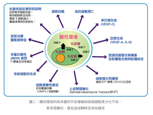 張金堅：癌細胞的酸性環境使腫瘤更難纏