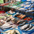 喜歡吃海鮮大餐嗎? 魚、蝦、螃蟹和貝類該怎麼挑選？