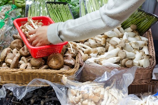 颱風天菜架剩好多菇類！營養師大讚「意想不到益處」：CP值超高 就連香菇水也能用