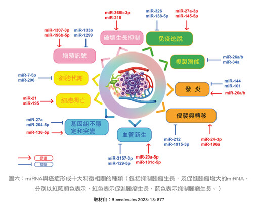 張金堅:從諾貝爾生醫獎談微型RNA的醫療應用