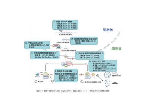 張金堅:從諾貝爾生醫獎談微型RNA的醫療應用