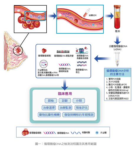 張金堅:液體切片在癌症診療扮演的角色