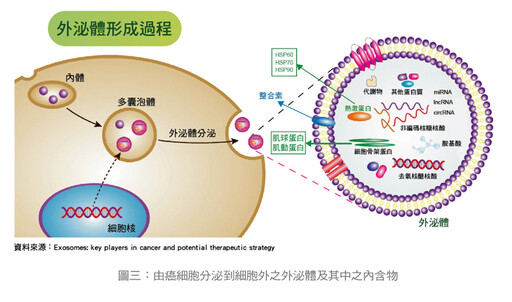 張金堅:液體切片在癌症診療扮演的角色