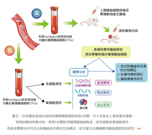 張金堅:液體切片在癌症診療扮演的角色