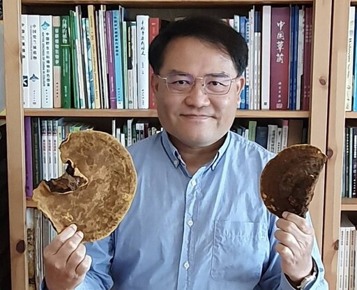 5月號搶先報!!桑黃 – 預防醫學的代表性保健食品，預防勝於治療，為健康戴上安全帽