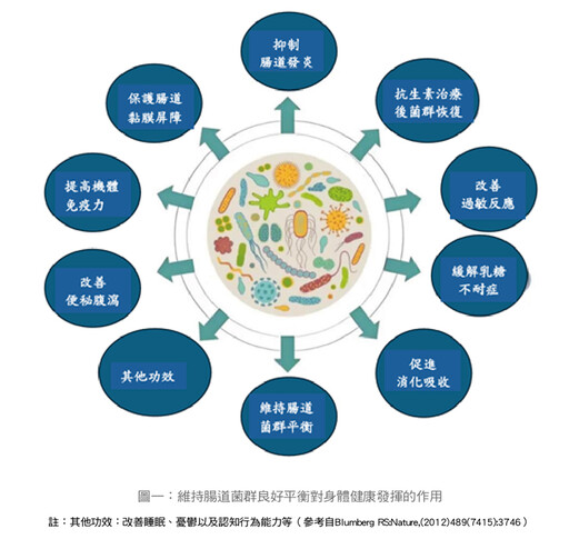 張金堅、潘子明：腸道菌群平衡，身體健康 研究：常喝咖啡，腸道好菌增