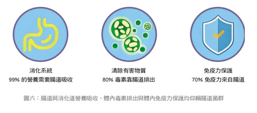 張金堅、潘子明：腸道菌群平衡，身體健康 研究：常喝咖啡，腸道好菌增