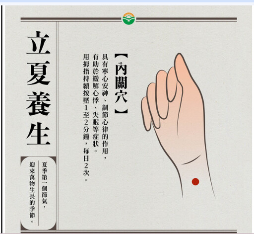 【立夏養心必備】1茶飲1穴位，調養心神、輕鬆迎夏