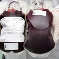 4大血型飲食建議一次看！你吃對了嗎？O型多吃肉、A型宜清淡，快對照調整體質」