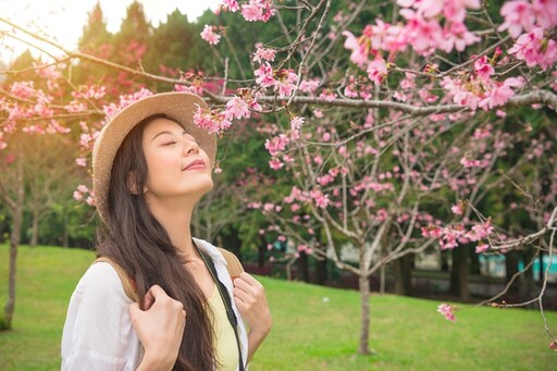 一到春天就過敏？醫點名「這些人」特別容易得花粉症 快自我檢測