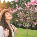 一到春天就過敏？醫點名「這些人」特別容易得花粉症 快自我檢測
