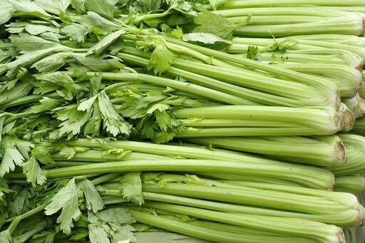 芹菜怎麼挑最新鮮？農糧署教看「這2處」就知道 1動作讓口感加倍嫩