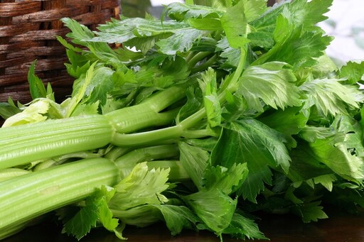 芹菜怎麼挑最新鮮？農糧署教看「這2處」就知道 1動作讓口感加倍嫩