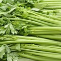 芹菜怎麼挑最新鮮？農糧署教看「這2處」就知道 1動作讓口感加倍嫩