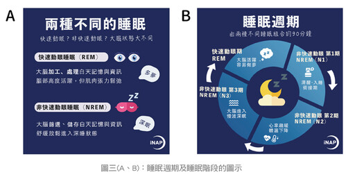 張金堅:有夢最美嗎？談睡眠與做夢的關係