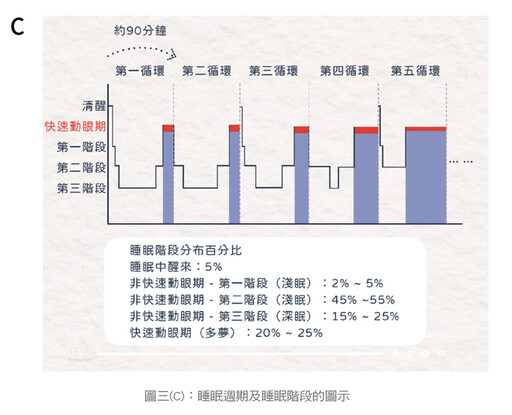 張金堅:有夢最美嗎？談睡眠與做夢的關係