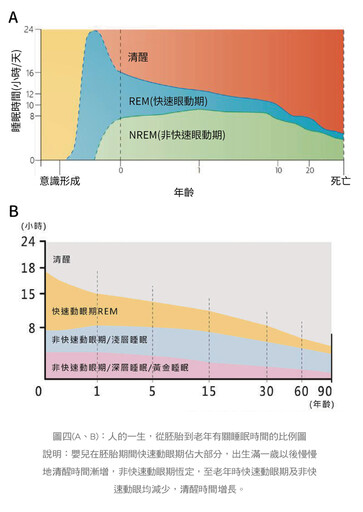 張金堅:有夢最美嗎？談睡眠與做夢的關係