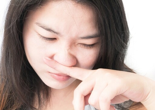 家裡好臭？寵物味揮之不去？專家推「居家除臭6大法寶」 千萬別用香氛掩蓋