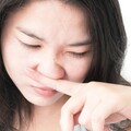 家裡好臭？寵物味揮之不去？專家推「居家除臭6大法寶」 千萬別用香氛掩蓋