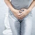 更年期常見困擾！陰道乾澀、漏尿，原來是這兩處退化惹的禍