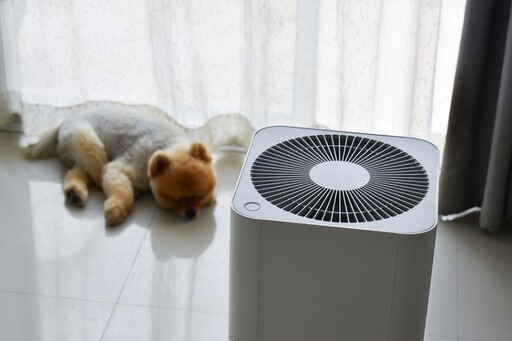 除濕、開窗還不夠！醫示警「家中這些地方」最容易藏黴菌 夏季防霉3招快學起來