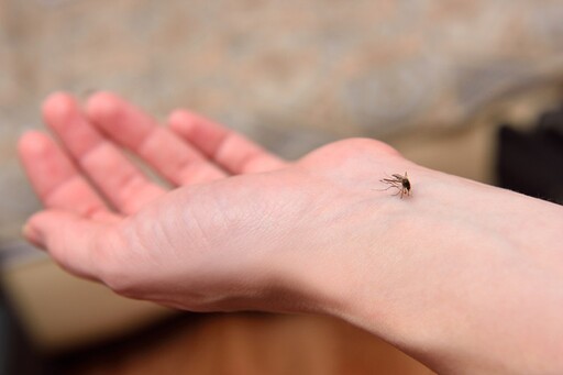 「DEET、派卡瑞丁、IR3535、防蚊精油」差在哪？ 醫揭防蚊液成分與效果比較