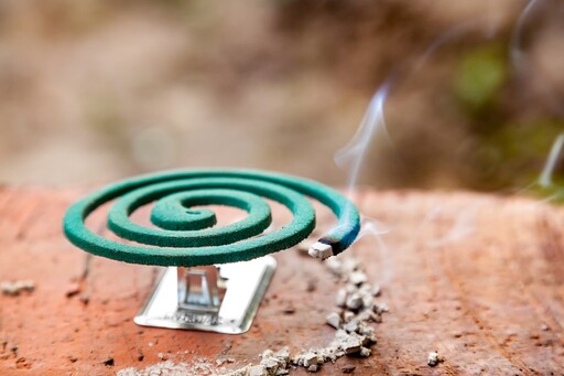 「DEET、派卡瑞丁、IR3535、防蚊精油」差在哪？ 醫揭防蚊液成分與效果比較