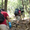 登山隔天腳跟痛爆？中醫師教按「3穴位」舒緩足底筋膜炎 小心別太用力