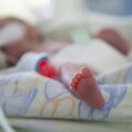 疾管署警告：新生兒腸病毒重症再現 家長須留意危險徵兆