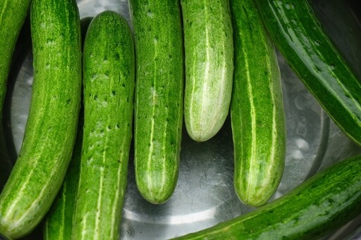 小技巧讓黃瓜沙拉更入味！冷凍黃瓜拌菜簡單又清爽