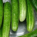 小技巧讓黃瓜沙拉更入味！冷凍黃瓜拌菜簡單又清爽