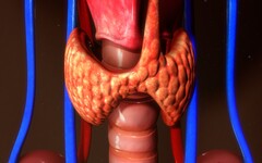 健檢發現甲狀腺結節別緊張！醫師提醒9成良性，3大警訊須警戒