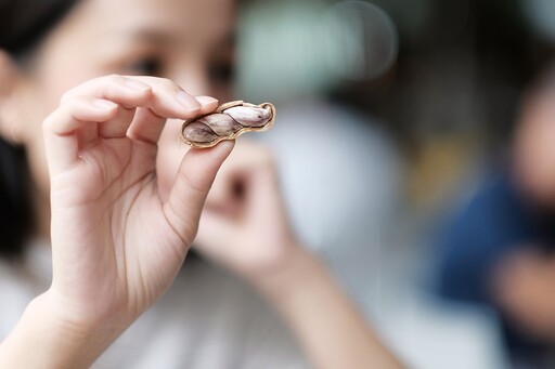 常吃「這1種花生」能延緩疾病、對抗衰老！醫認證激推 皮千萬別剝掉